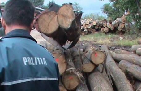 Material lemnos fără documente legale, confiscat de poliţişti