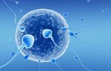 Primele dosare de fertilizare in vitro, aprobate de Ministerului Sănătăţii