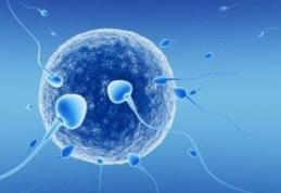 Primele dosare de fertilizare in vitro, aprobate de Ministerului Sănătăţii