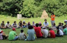 Anunț DAS Dorohoi privind organizarea taberelor sociale pe perioada vacanțelor școlare