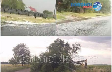 Furtuni violente în județul Botoșani! Grindină și copaci căzuți pe carosabil - FOTO