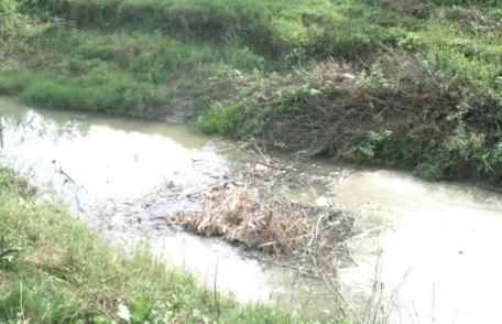 Râul Jijia nu a fost decolmatat