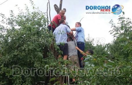 Incident grav la Hilișeu-Horia! Bărbat în stare critică după ce drujba cu care tăia un copac i-a amputat antebrațul