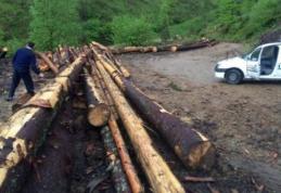Material lemnos confiscat de poliţişti de la o societate de prelucrarea lemnului din Botoşani