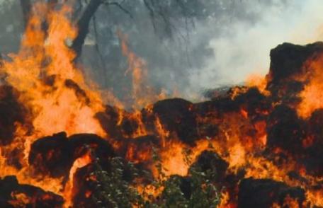 Incendiu de amploare la Havârna! 800 de baloţi de furaje mistuite de flăcări