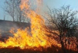 Comunicat SVSU Dorohoi - Arderea frunzelor și a vegetației uscate un pericol pentru cei din jur
