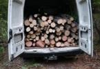 transport ilegal lemne