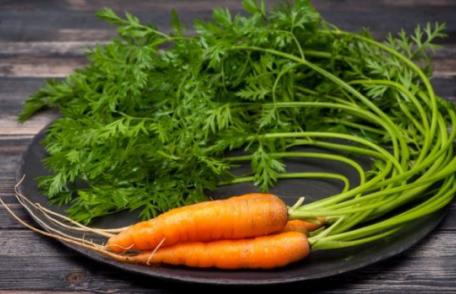 Remediu cu frunze de morcov pentru hemoroizi