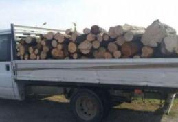 Transport de lemne, cu iz penal