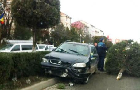 Accident pe Bulevardul Victoriei! A rupt un brad și s-a oprit pe contrasens după ce a scăpat mașina de sub control - FOTO