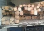confiscare-lemn