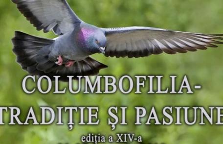 Expoziția de porumbei „Columbofilia – Tradiție și pasiune” la Muzeul de Știintele Naturii Dorohoi