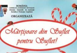 Spectacol artistic la Botoșani - oferit de către copiii din sistemul de asistență maternală