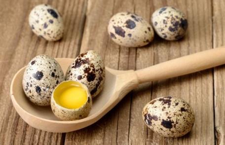 Cum se ține o cură cu ouă de prepeliță și în ce afecțiuni este indicată