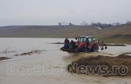 Comitet Local pentru Situații de Urgență la Hilișeu-Horia! Drum și pășuni inundate după revărsarea apelor - VIDEO/FOTO