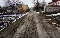 Primim la redacţie – Strada Dima Grigore arată ca un drum forestier – FOTO