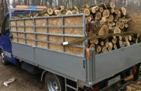 Material lemnos confiscat la Mihăileni! Un bărbat a primit o amendă uriașă