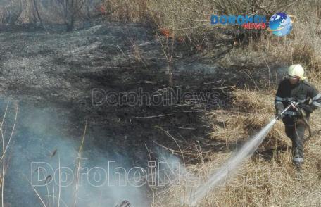 Incendiu de vegetație în Dorohoi! Aproximativ cinci hectare de vegetație uscată și stuf distruse de flăcări - FOTO 