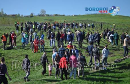 Acțiune de amploare la Dorohoi! 20.000 de puieți plantați pe Dealul Polonic - FOTO