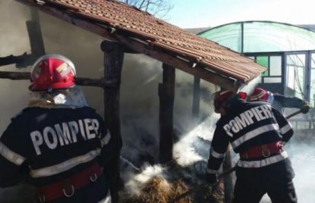 Peste zece tone de plante furajere și o seră afectate de un incendiu izbucnit într-o gospodărie din Dumbrăvița