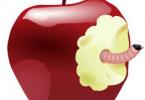 apple virus