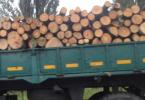 transport lemne