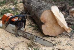 ACCIDENT CUMPLIT - Un bărbat de 31 de ani s-a tăiat cu drujba în timp ce tăia un copac