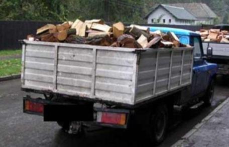 Material lemnos fără acte legale, confiscat de polițiști