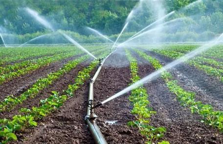 Nova Apaserv face apel la toţi utilizatorii: Nu folosiți apa menajeră pentru a uda culturile agricole sau gazonul