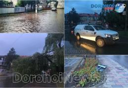 Copaci și crengi rupte de vânt la Dorohoi! Furtuna a afectat mai puternic nord-estul județului - FOTO