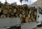 lemn-autoutilitara