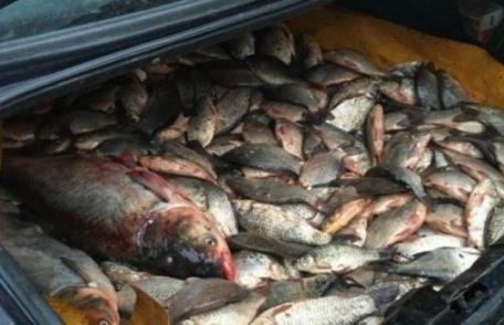 Dosar penal pentru braconaj piscicol: Au pescuit ilegal 30 de kilograme de peşte din acumularea piscicolă
