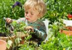 plante-periculoase-copii