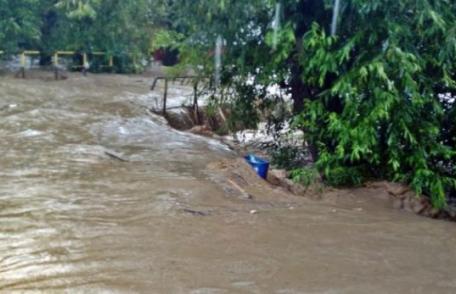 Grindina și inundațiile au făcut ravagii în Suceava – VIDEO