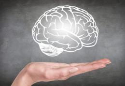 Exerciții pentru creier: cum întărim puterea de concentrare și memoria