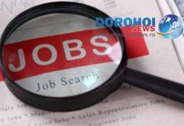 Ofertă AJOFM Botoșani: 915 locuri de muncă disponibile în județ!