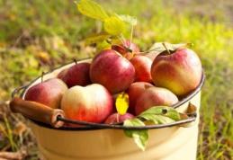 Tradiții și obiceiuri de Sfântul Ilie: De ce se dau mere de pomană