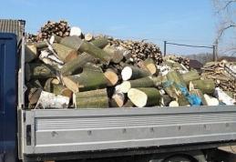 Material lemnos confiscat de poliţişti pe raza oraşului Ştefăneşti