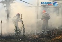 Furaje distruse de incendiu la Cobâla! Pompierii dorohoieni intervenit pentru stingere - FOTO