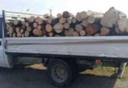 Transport ilegal de lemne confiscat de poliţiştii din Dorohoi