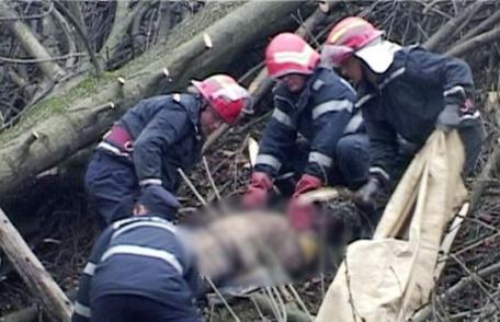 TRAGIC: Bărbat decedat după ce un copac a căzut peste el într-o pădure de pe teritoriul comunei Pomârla
