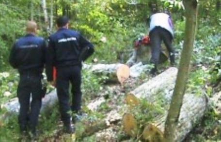 Hoţi de lemne prinşi la locul faptei. Un bărbat şi o femeie depistați de polițiști când defrișau dintr-o pădure din județul Botoșani