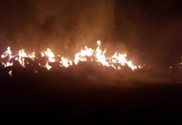 Șocant! Incendiul de la Carasa provocat de un angajat nemulţumit de leafa primită