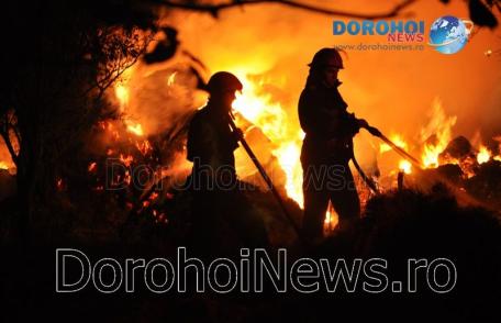Peste patru ore de intervenție la Dragalina! Incendiul a fost provocat intenționat
