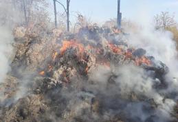 90 de tone de furaje distruse într-un incendiu, la Bobulești - FOTO