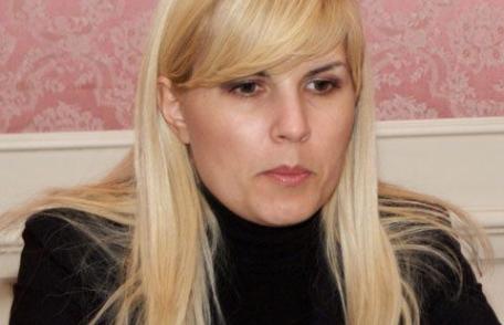 Elena Udrea aşteptată astăzi la Dorohoi şi Botoşani