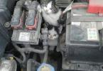 Pisici la motor