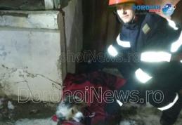 Din nou eroi pentru necuvântătoare! Câine salvat de pompierii dorohoieni - FOTO