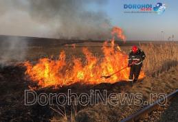 Incendiu în Dorohoi! Aproximativ zece hectare de vegetație uscată și stuf distruse de flăcări - FOTO