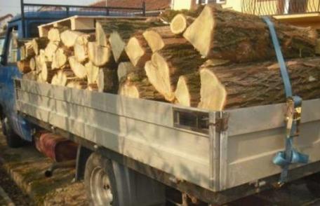 Transport de lemne ilegal descoperit într-o autoutilitară. Vezi ce a pățit șoferul